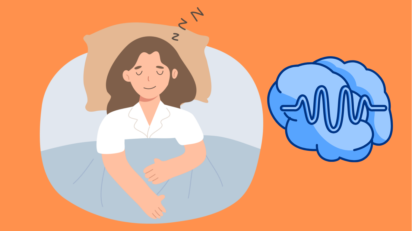 What Happens in Your Brain While You Sleep?